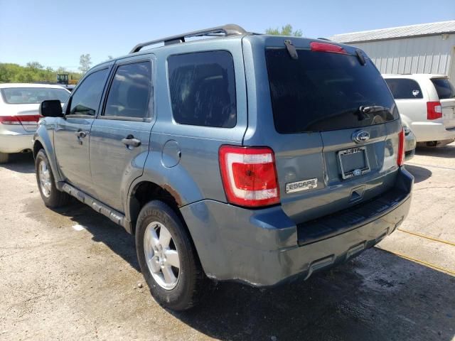 2010 Ford Escape XLT