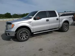 Salvage trucks for sale at Lebanon, TN auction: 2013 Ford F150 Supercrew