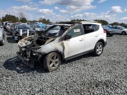 Salvage cars for sale at Ham Lake, MN auction: 2013 Toyota Rav4 XLE