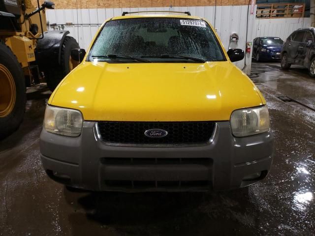 2001 Ford Escape XLT