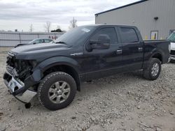 Ford salvage cars for sale: 2013 Ford F150 Supercrew