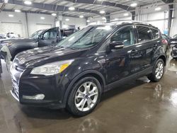 Salvage cars for sale at Ham Lake, MN auction: 2015 Ford Escape Titanium