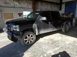 Salvage cars for sale at Helena, MT auction: 2009 Chevrolet Silverado K1500 LT