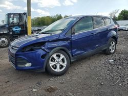 Salvage cars for sale from Copart Chalfont, PA: 2014 Ford Escape SE