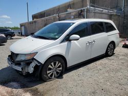 Honda salvage cars for sale: 2014 Honda Odyssey EXL