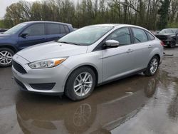 Ford salvage cars for sale: 2016 Ford Focus SE