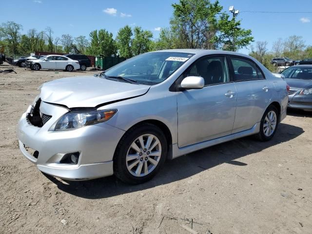 2010 Toyota Corolla Base