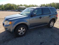 Ford Escape XLT Vehiculos salvage en venta: 2011 Ford Escape XLT