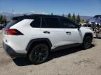 2024 Toyota Rav4 XSE