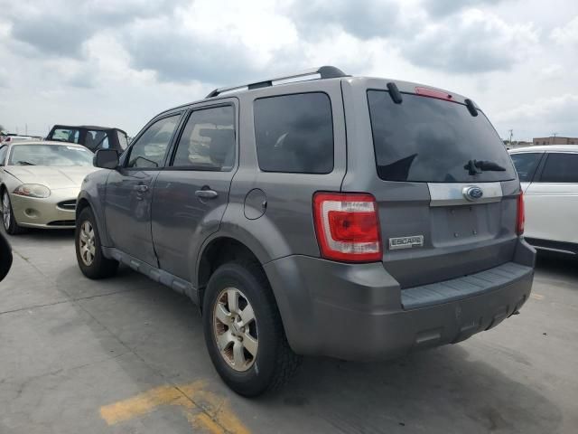 2009 Ford Escape Limited