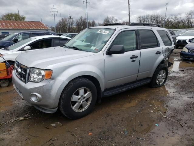 2009 Ford Escape XLT