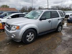 Ford Escape XLT Vehiculos salvage en venta: 2009 Ford Escape XLT