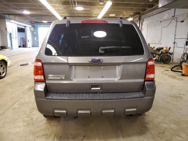 2010 Ford Escape XLT