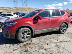 Honda salvage cars for sale: 2020 Honda CR-V EXL