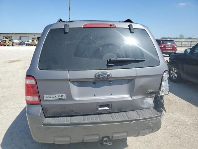 2010 Ford Escape XLT