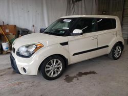 Salvage cars for sale at York Haven, PA auction: 2013 KIA Soul +