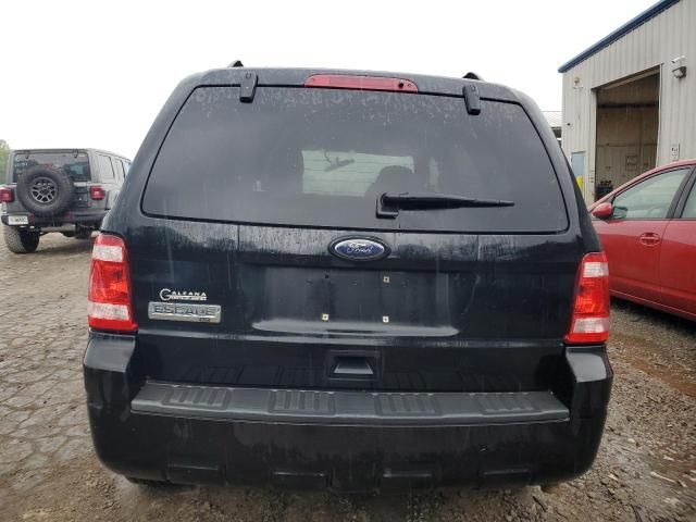 2010 Ford Escape XLT