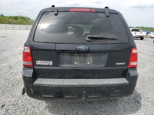 2008 Ford Escape XLT