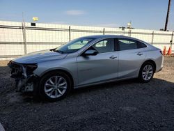 Rental Vehicles for sale at auction: 2022 Chevrolet Malibu LT