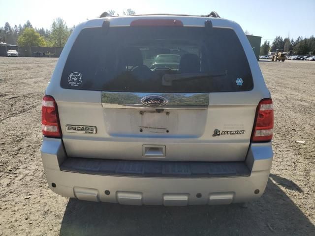 2010 Ford Escape Hybrid