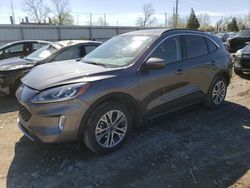 Salvage cars for sale at Lansing, MI auction: 2022 Ford Escape SEL