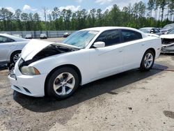 Salvage cars for sale at Harleyville, SC auction: 2013 Dodge Charger SE