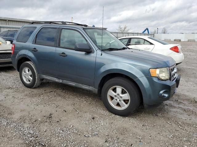 2010 Ford Escape XLT