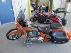 2010 Harley-Davidson Flstse