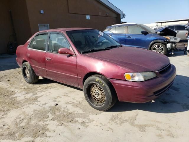 1998 Toyota Corolla VE