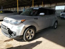 Salvage cars for sale from Copart Phoenix, AZ: 2017 KIA Soul
