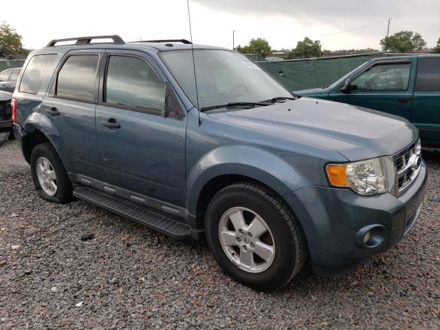 2011 Ford Escape XLT