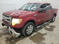 Salvage trucks for sale at Houston, TX auction: 2013 Ford F150 Supercrew