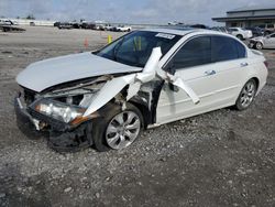Salvage cars for sale from Copart Earlington, KY: 2010 Honda Accord EXL