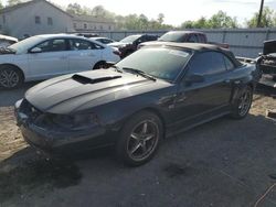 Salvage cars for sale at York Haven, PA auction: 2003 Ford Mustang GT