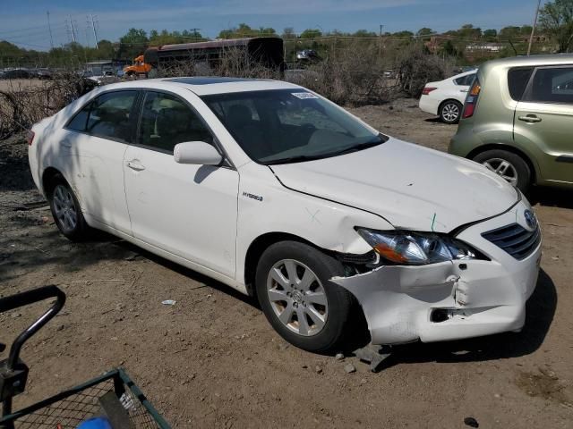 2007 Toyota Camry Hybrid