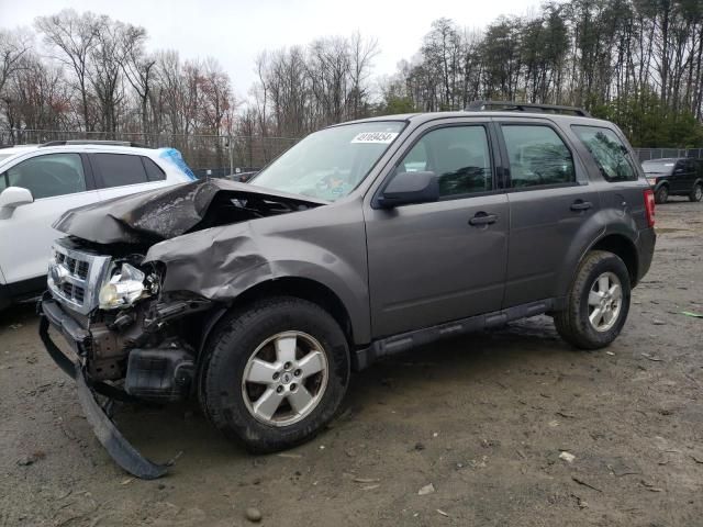 2009 Ford Escape XLS