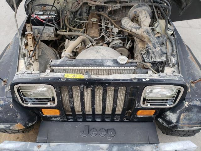 1993 Jeep Wrangler / YJ S