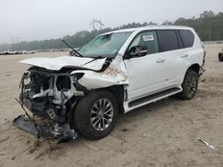 Salvage cars for sale from Copart Greenwell Springs, LA: 2014 Lexus GX 460 Premium