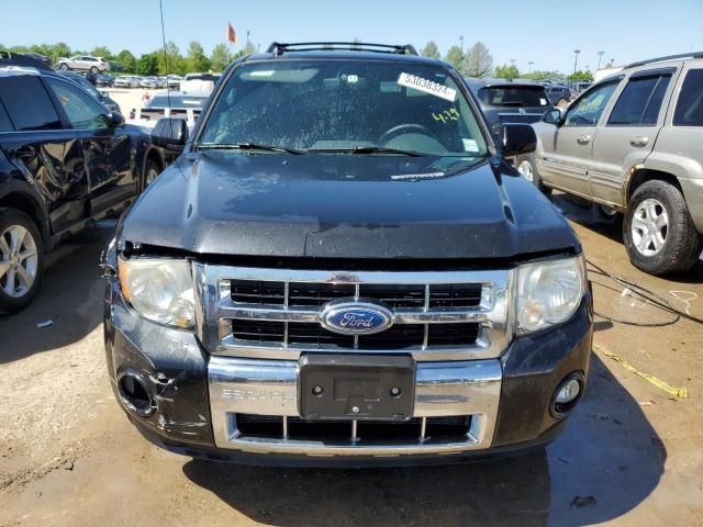 2011 Ford Escape Limited