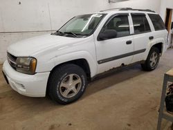 Salvage cars for sale at Ham Lake, MN auction: 2004 Chevrolet Trailblazer LS