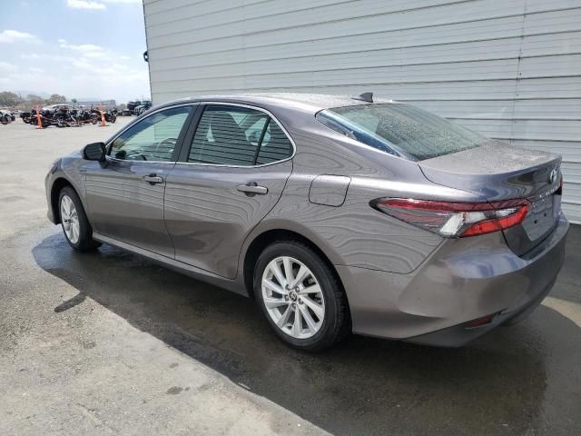 2024 Toyota Camry LE