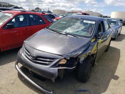 Salvage cars for sale at Martinez, CA auction: 2013 Toyota Corolla Base