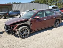 Nissan Maxima s salvage cars for sale: 2010 Nissan Maxima S