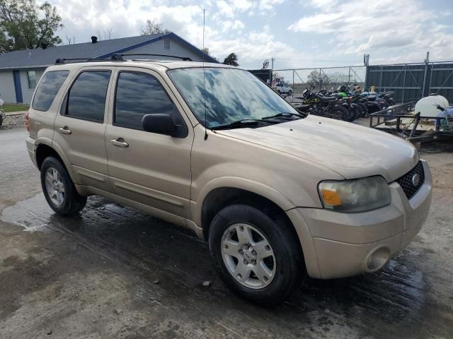 2007 Ford Escape Limited