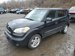 Salvage vehicles for parts for sale at auction: 2010 KIA Soul +