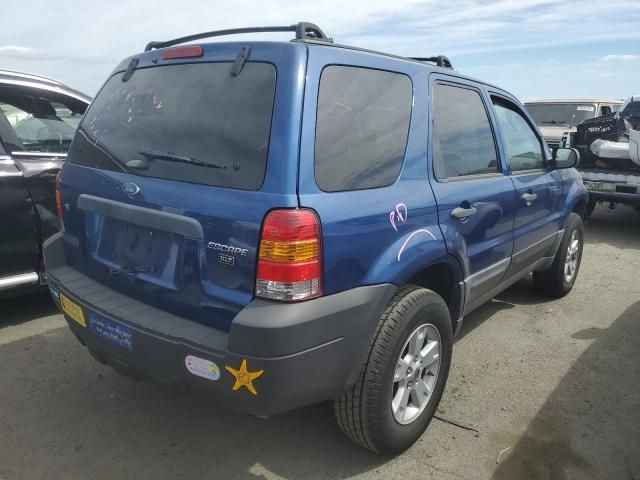 2007 Ford Escape XLT