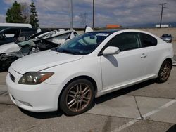 Scion salvage cars for sale: 2008 Scion TC