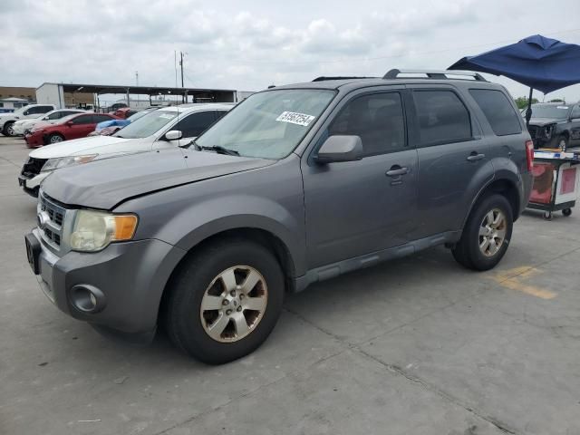 2009 Ford Escape Limited