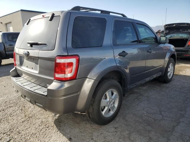 2009 Ford Escape XLT