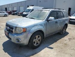 Salvage cars for sale from Copart Jacksonville, FL: 2008 Ford Escape HEV